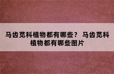 马齿苋科植物都有哪些？ 马齿苋科植物都有哪些图片